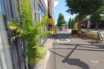 敷地西側の前面道路（北側から）