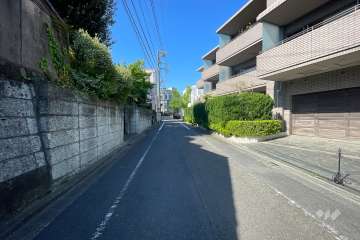 敷地南東側の前面道路（北東側から）