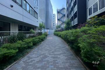 敷地北東側の前面道路（北西側から）