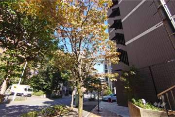 敷地北西側の前面道路（南西側から）