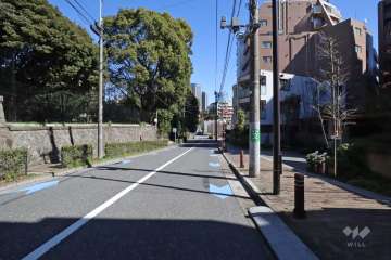 敷地北側の前面道路（西側から）