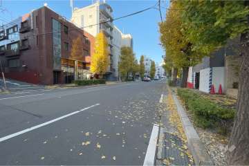 敷地西側の前面道路（南側から）
