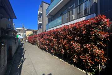 敷地北西側の前面道路（南西側から）