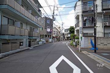 敷地の西側前面道路（南側から）