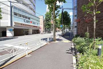 敷地の北側前面道路（西側から）