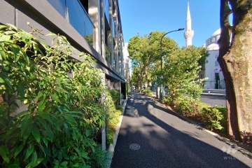敷地南側の前面道路（西側から）