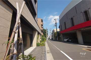 敷地南東側の前面道路（南西側から）