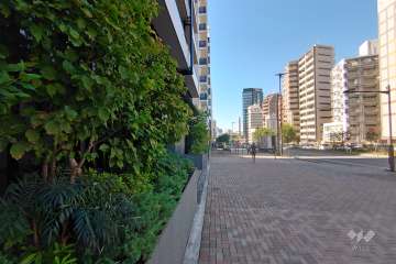 敷地北東側の前面道路(南東側から）