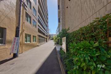 敷地南東側の前面道路（北東側から）