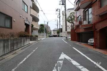 敷地南西側の前面道路（北西側から）