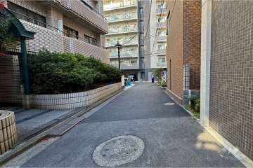 敷地南側の前面道路（西側から）