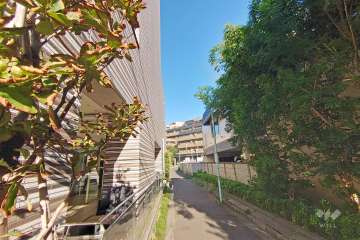 敷地南側の前面道路（西側から）