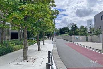 敷地西側の前面道路（北側から）