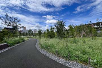 敷地北側に隣接する公園