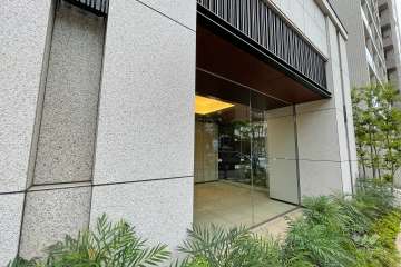 敷地内の各所に植栽スペースが設けられています。