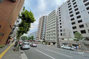 敷地東側の前面道路（北側から）