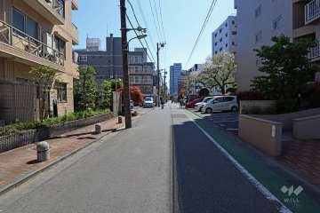 敷地西側の前面道路（北側から）