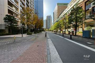 敷地西側の前面道路（北側から）