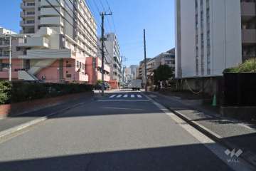 敷地北側の前面道路(西側から)