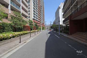 敷地北側の前面道路（西側から）