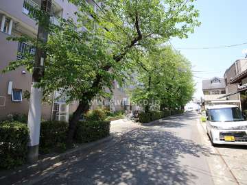 敷地東側の前面道路