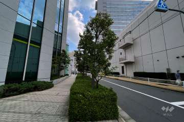 敷地南東側の前面道路（南西側から）