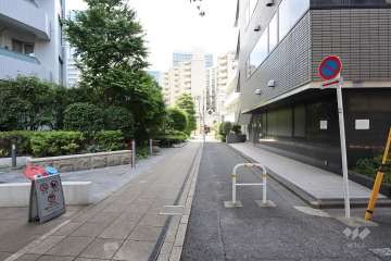 敷地北側の前面道路