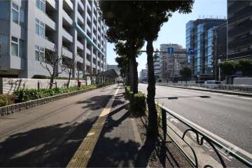 敷地南西側の前面道路(北西側から)