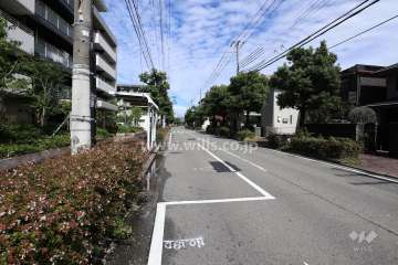 敷地東側の前面道路(南側から)