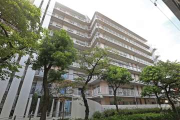 パレ北武庫之荘4の外観(北側から)
