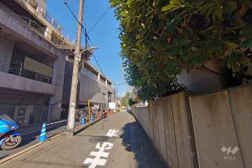 敷地西側の前面道路（南側から）