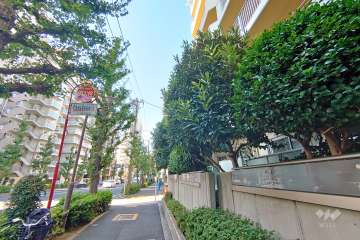 敷地南側の前面道路（東側から）