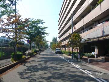 南側前面道路は街路樹のきれいな通り。道を挟んでJR東海道本線が走っています。