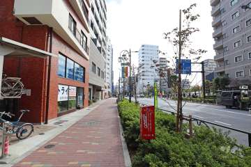 敷地南側の前面道路