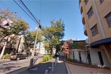 敷地北西側の前面道路（南西側から）