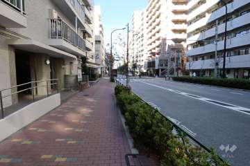 敷地北東側の前面道路