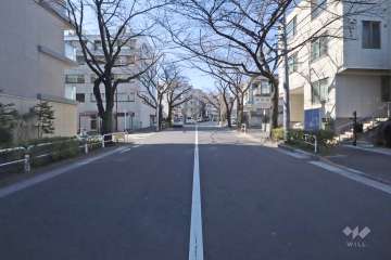 敷地北側の前面道路(東側から)