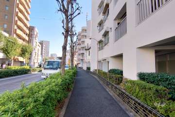 敷地の東側前面道路（北側から）