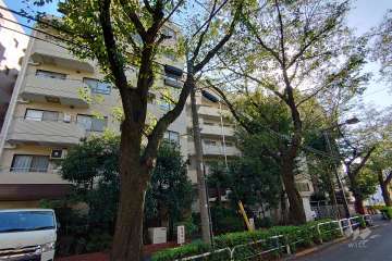 マートルコート目黒不動の外観（北東側から）