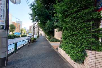 敷地北東側の前面道路
