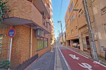 敷地の南側道路（西側から）