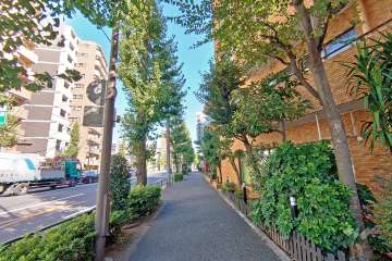 敷地西側前面道路は中原街道です（南側から）。