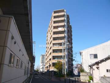 ネバーランド尼崎の外観（東側から）