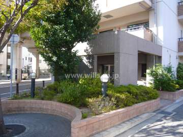 エントランス周り