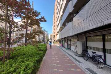 敷地の南西側前面道路（南東側から）