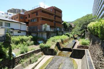敷地北側を流れる塩谷川