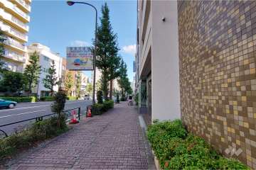敷地北西側の前面道路（南西側から）