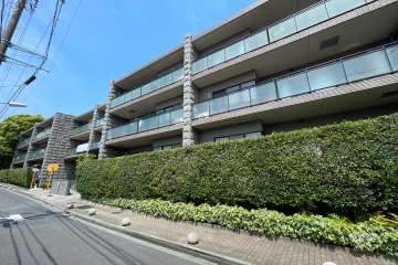 アデニウム大森山王