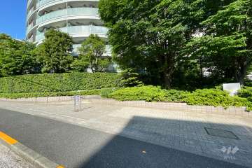 敷地西側の前面道路　
