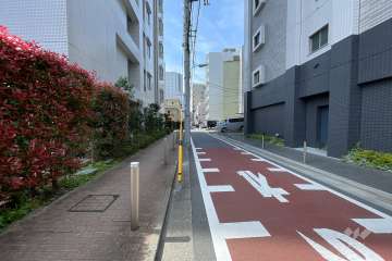 敷地西側の前面道路（北西側から）